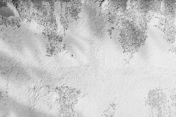 Black and white tone concrete wall with shadow