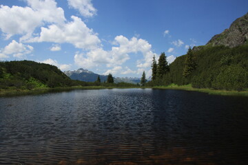 Fototapeta premium Blauer Bergsee in den Alpen mit Wiese und Wald an einem sonnigen Sommertag