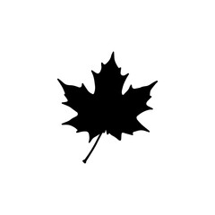 silhouette of a maple leaf. vector illustration