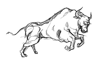 Bull animal strong power matador hand drawn sketches white isolated background