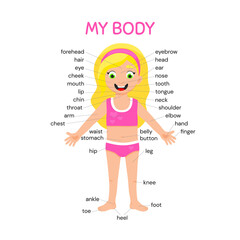 Fototapeta na wymiar My body poster. Cute kid girl shows his body parts medical anatomy chart placard or poster flat style cartoon vector illustration isolated on white background.