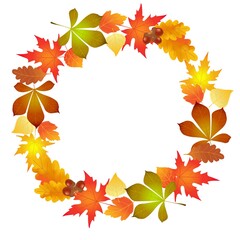 autumn leaves, circle background, illustration, vector,
