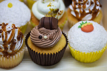 cupcake au chocolat, noix de coco, pistache et autres parfums