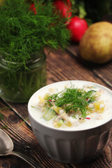 Russian traditional cold soup okroshka