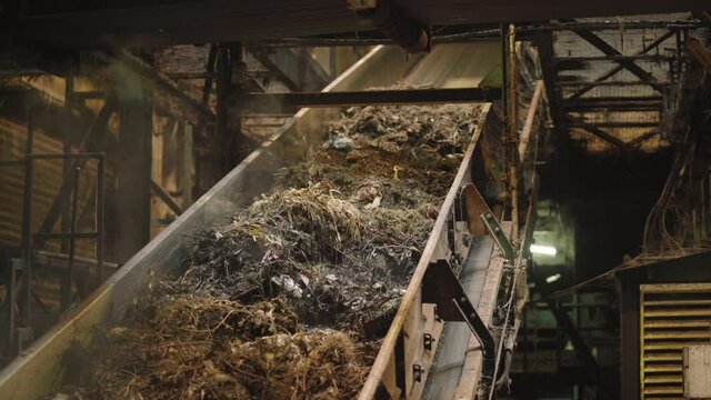 Conveyor belt transporting steamy organic waste upwards the belt. Static.