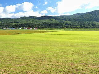 北海道･酪農地帯