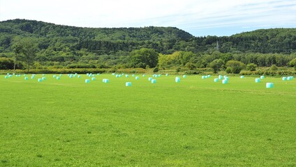 北海道･酪農地帯