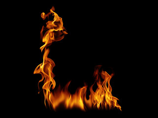 Fire flames on a black background