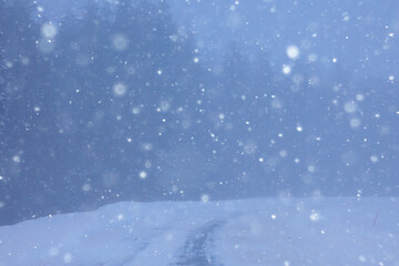 snow and fog on the winter road landscape / view of the seasonal weather a dangerous road, a winter lonely landscape
