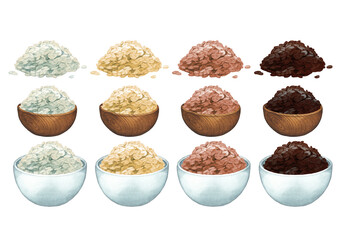 Watercolo bowls and handfuls of various species of rice.
