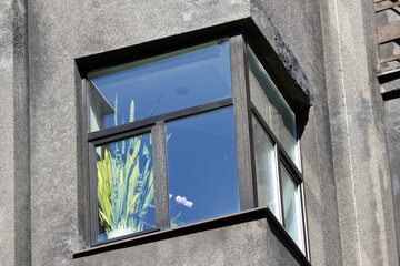 Closeup of a window of an old building