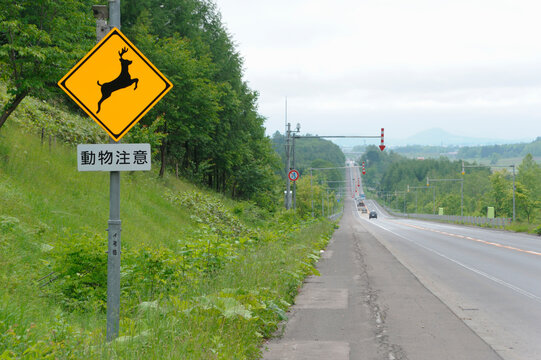 17 Best 動物注意 Images Stock Photos Vectors Adobe Stock