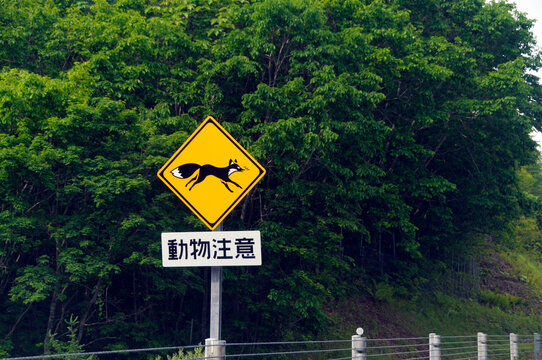 17 Best 動物注意 Images Stock Photos Vectors Adobe Stock