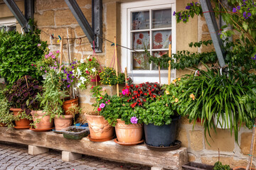 Beautifully arranged plants in front of the window of an old house