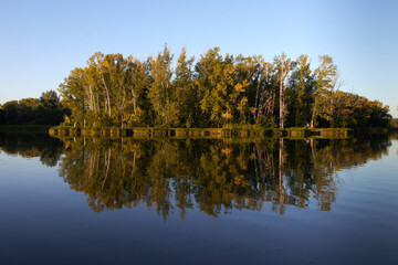 reflection of trees in water