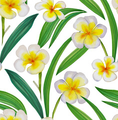 Fototapeta na wymiar Tropical pattern with frangipani and hibiscus flowers. Background with tropical flowers