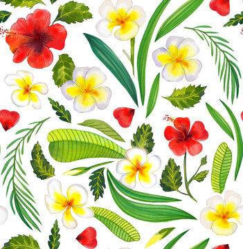 Tropical pattern with frangipani and hibiscus flowers. Background with tropical flowers