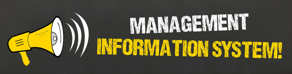 Management Information System!  © magele-picture