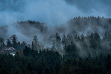 Fog lingers in the mountains of the Black Forest, Germany, in early May