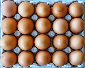 Brown chicken eggs in carton package, top view.