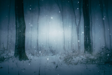 snow falling in magical winter forest, fantasy landscape