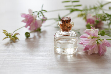 Coronilla varia essential oil (extract, infusion, remedy) glass bottle with fresh Coronilla varia flowers on wooden background, selective focus