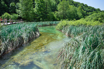 Walking in Plitvice Lakes National Park, Croatia