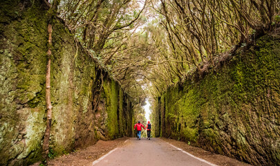 Sporty tourist couple on hiking trail in Anaga Rural Park - ancient rain forest on Tenerife, Canary Islands.