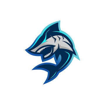 shark mascot esport logo design