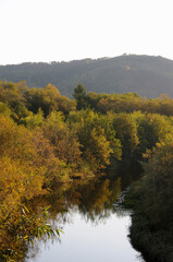 Fototapeta premium 紅葉の川