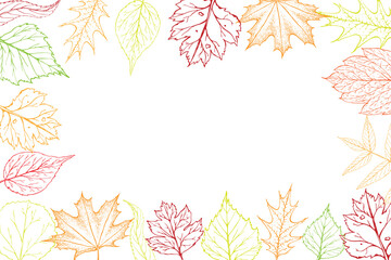square frame with autumn leaves. fall background on white. Autumn banner, poster, flyer label template greeting card design great for print, invitation, promotion and Thanksgiving celebration.