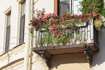Fototapeta na wymiar cozy balcony and colorful potted flowers on it. Beautiful architecture of Russia and Europe. The concept of romance