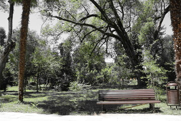 Fototapeta premium bench in the park