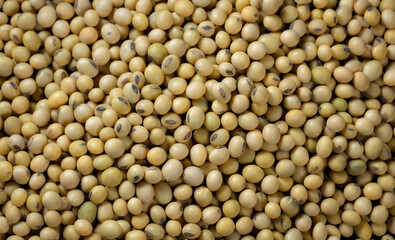 Top view Soybean pattern as for background