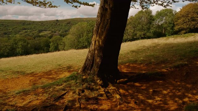 Establishing shot of the stunning Vale of Glamorgan in Wales, UK  home to rich and varied array of wildlife species