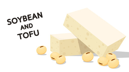 Tofu and Soybean vector. free space for text. ingredient vector.