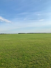 Obraz premium field and blue sky