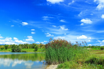 Beautiful landscape of the lake coast with green plants and clear blue sky with nice weather clouds