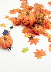 Halloween decorate pumpkins with autumn leaves
