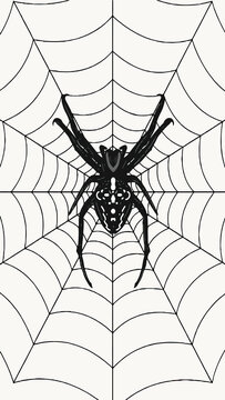 scary spider in the web in black and white silhouette drawing