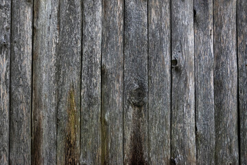 Close up of grey colour natural old wood texture background.