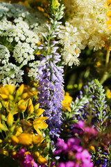 Obraz premium Summer bouquet of wild field flowers from the meadow. Beautiful florals on sunny day.