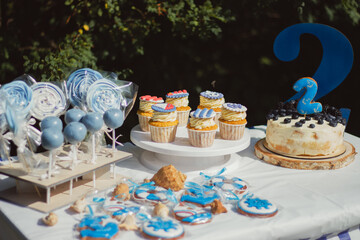 birthday cake with cake pops and capcakes two years