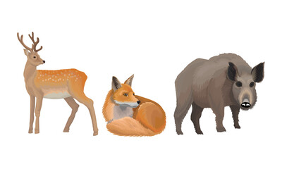 Wild Mammals Like Deer and Fox as Forest Habitant Vector Set