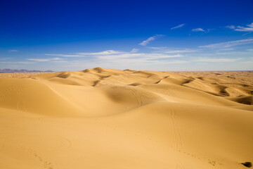 Fototapeta na wymiar sahara desert during the day