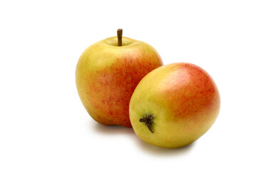 Apfel, alte Apfelsorten, Apfelsorte Martini.