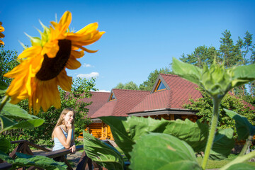 In summer, on a bright sunny day, a girl stands near a house with sunflowers in the village.