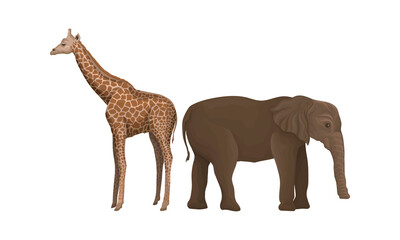 Spotted Giraffe and Elephant as African Animal Vector Set