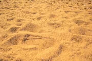 footprints in the sand