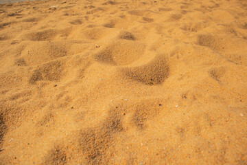 footprints in the sand